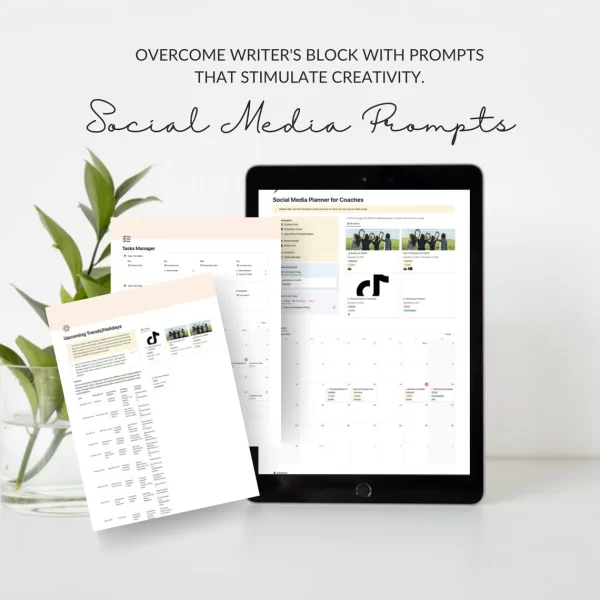 social media notion planner